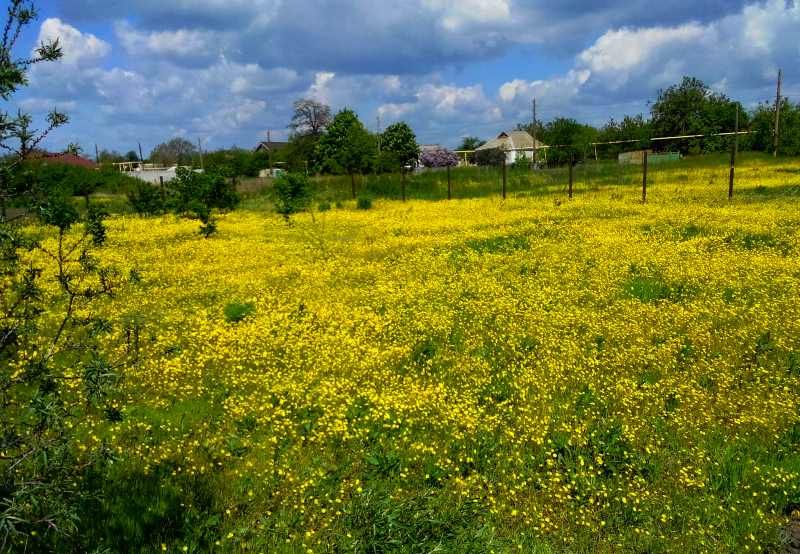 attachment.php?attachmentid=437736&stc=1&d=1432234411