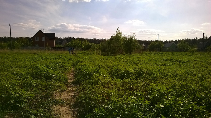 attachment.php?attachmentid=438133&stc=1&d=1432409212