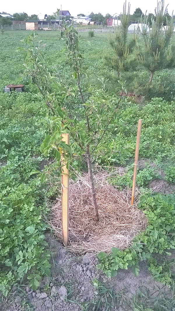 attachment.php?attachmentid=438135&stc=1&d=1432409212