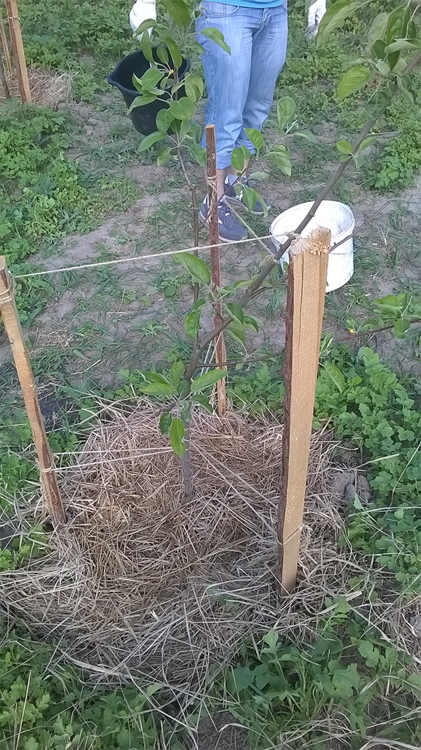 attachment.php?attachmentid=438136&stc=1&d=1432409212