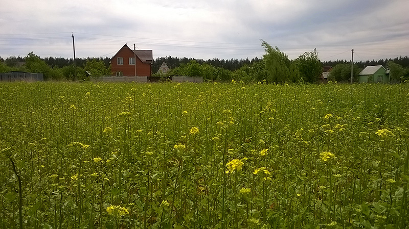 attachment.php?attachmentid=439759&stc=1&d=1433019314