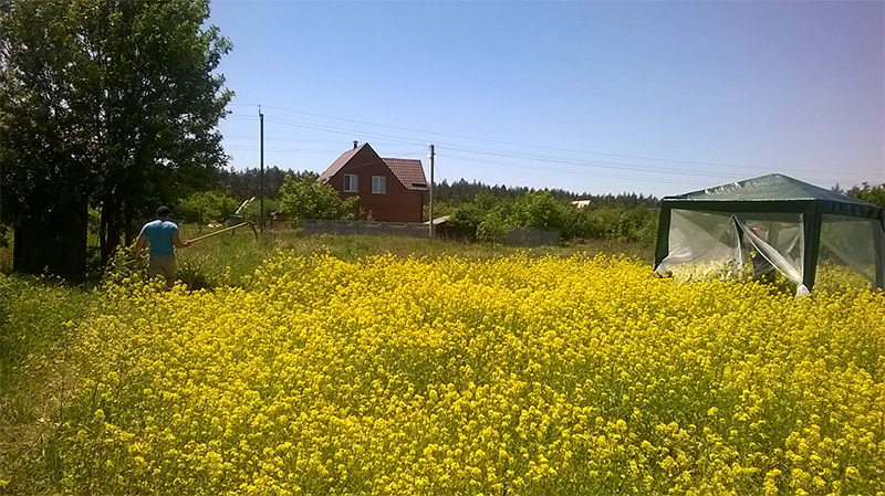 attachment.php?attachmentid=441364&stc=1&d=1433622546