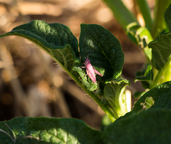 attachment.php?attachmentid=442917&stc=1&d=1434230994