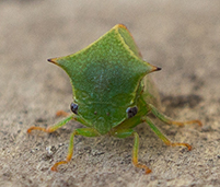 attachment.php?attachmentid=443141&stc=1&d=1434351803