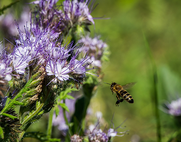 attachment.php?attachmentid=443142&stc=1&d=1434352012