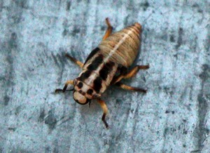 attachment.php?attachmentid=443209&stc=1&d=1434358981