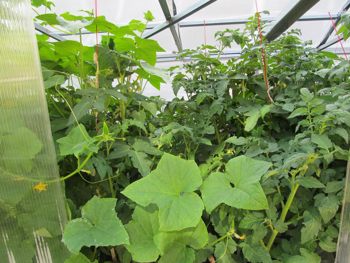 attachment.php?attachmentid=444612&d=1434899926