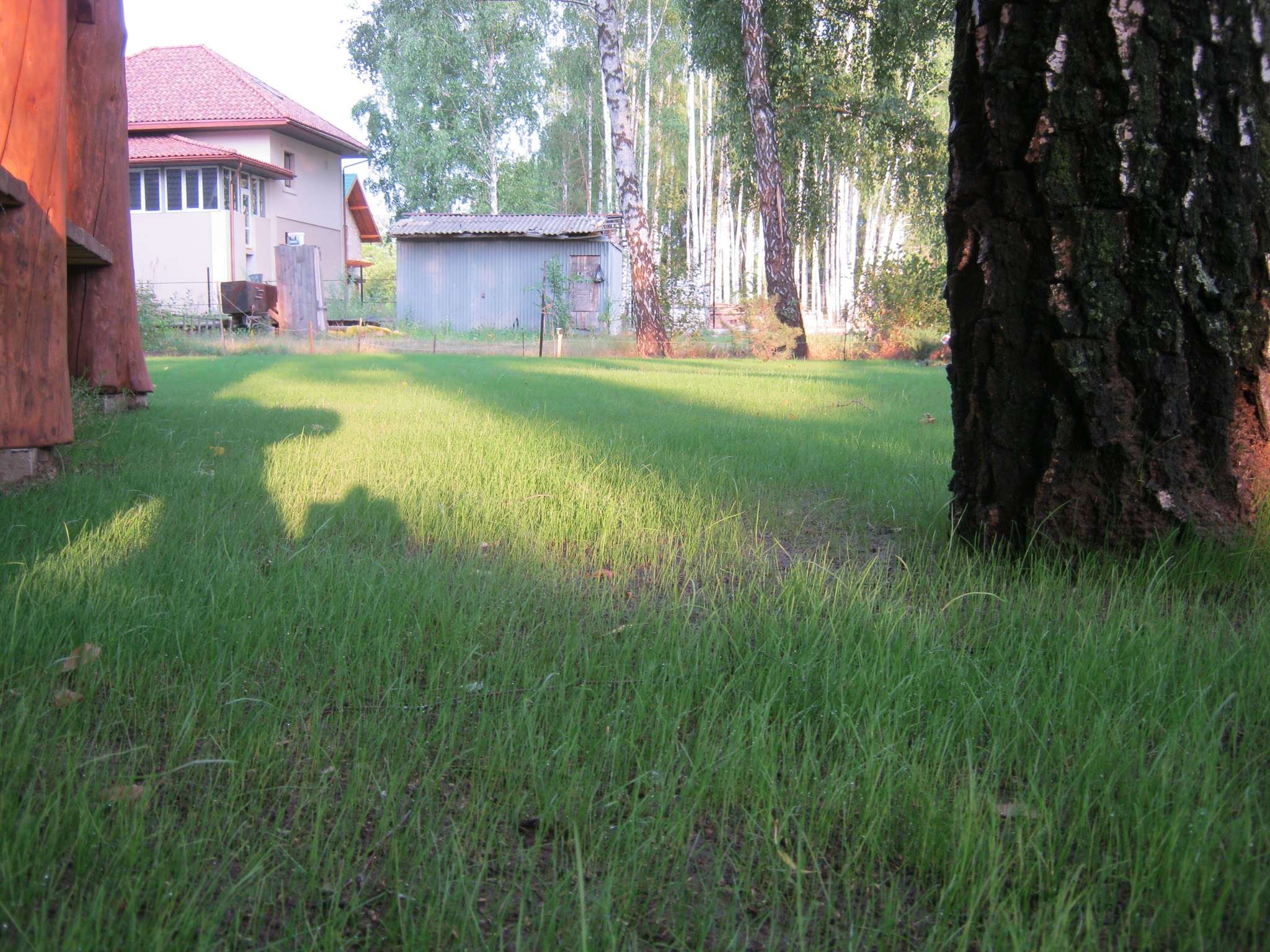 attachment.php?attachmentid=445651