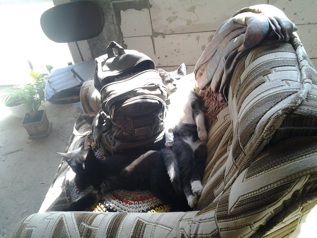 attachment.php?attachmentid=449627&stc=1&d=1436937330