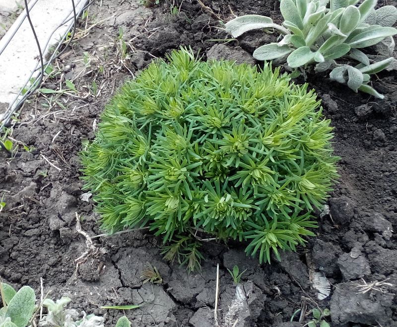 attachment.php?attachmentid=452419&stc=1&d=1438241216