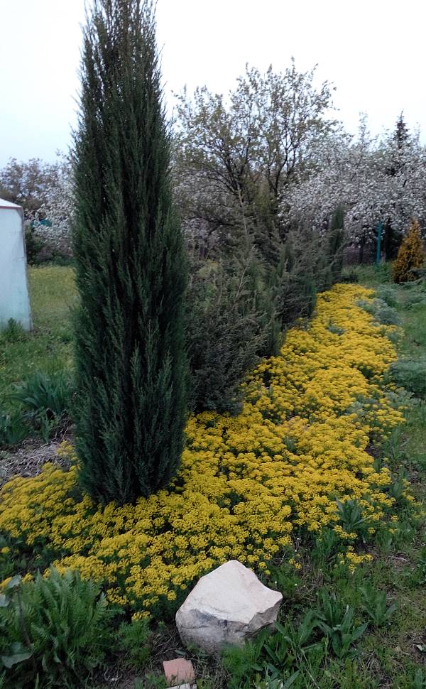 attachment.php?attachmentid=452421&stc=1&d=1438241216