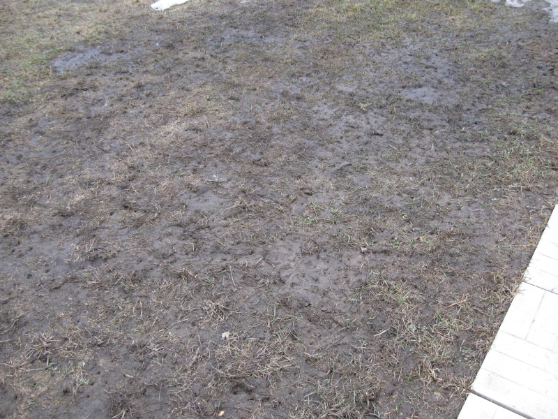 attachment.php?attachmentid=45281&d=1269269655