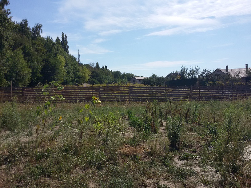 attachment.php?attachmentid=458007&stc=1&d=1441171609