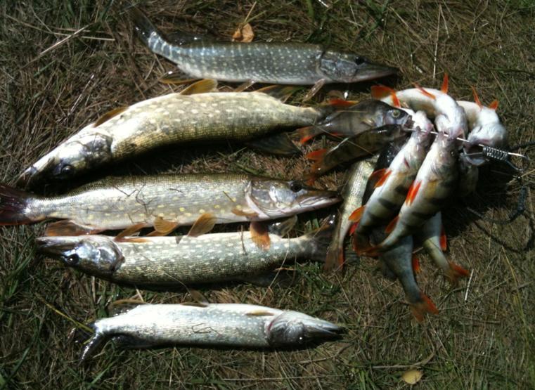 attachment.php?attachmentid=462234&stc=1&d=1443087991