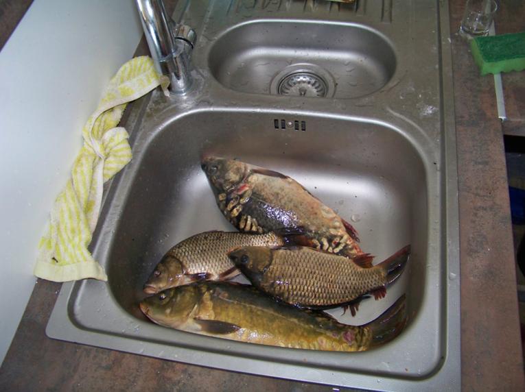 attachment.php?attachmentid=462236&stc=1&d=1443088788