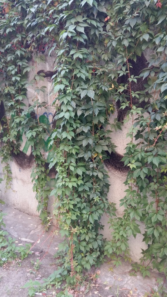 attachment.php?attachmentid=463120&d=1443505944