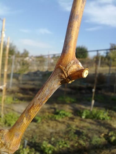 attachment.php?attachmentid=466793&stc=1&d=1445151525