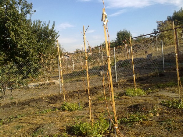 attachment.php?attachmentid=466794&stc=1&d=1445151531