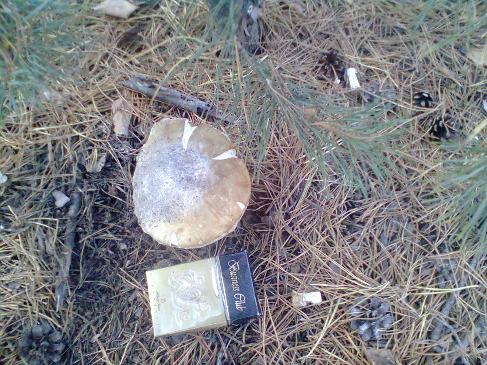 attachment.php?attachmentid=469322&stc=1&d=1446327624