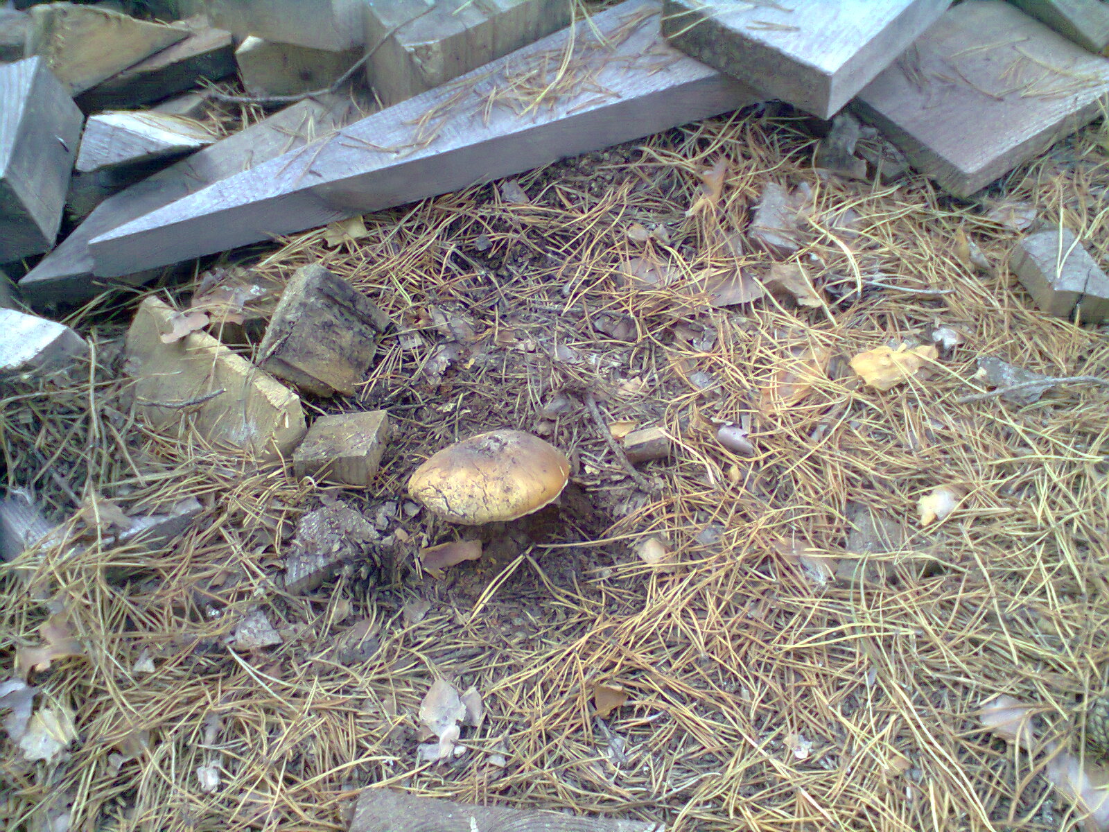 attachment.php?attachmentid=469323&stc=1&d=1446327642