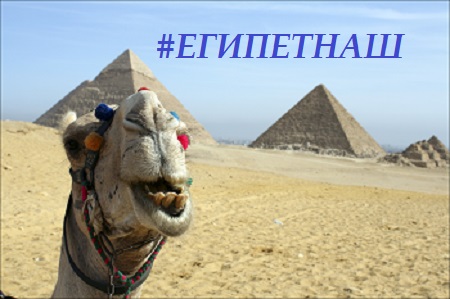 attachment.php?attachmentid=471147&stc=1&d=1447162381