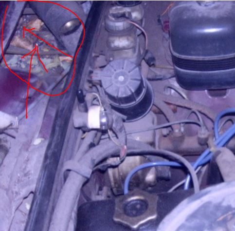 attachment.php?attachmentid=471711&stc=1&d=1447399651