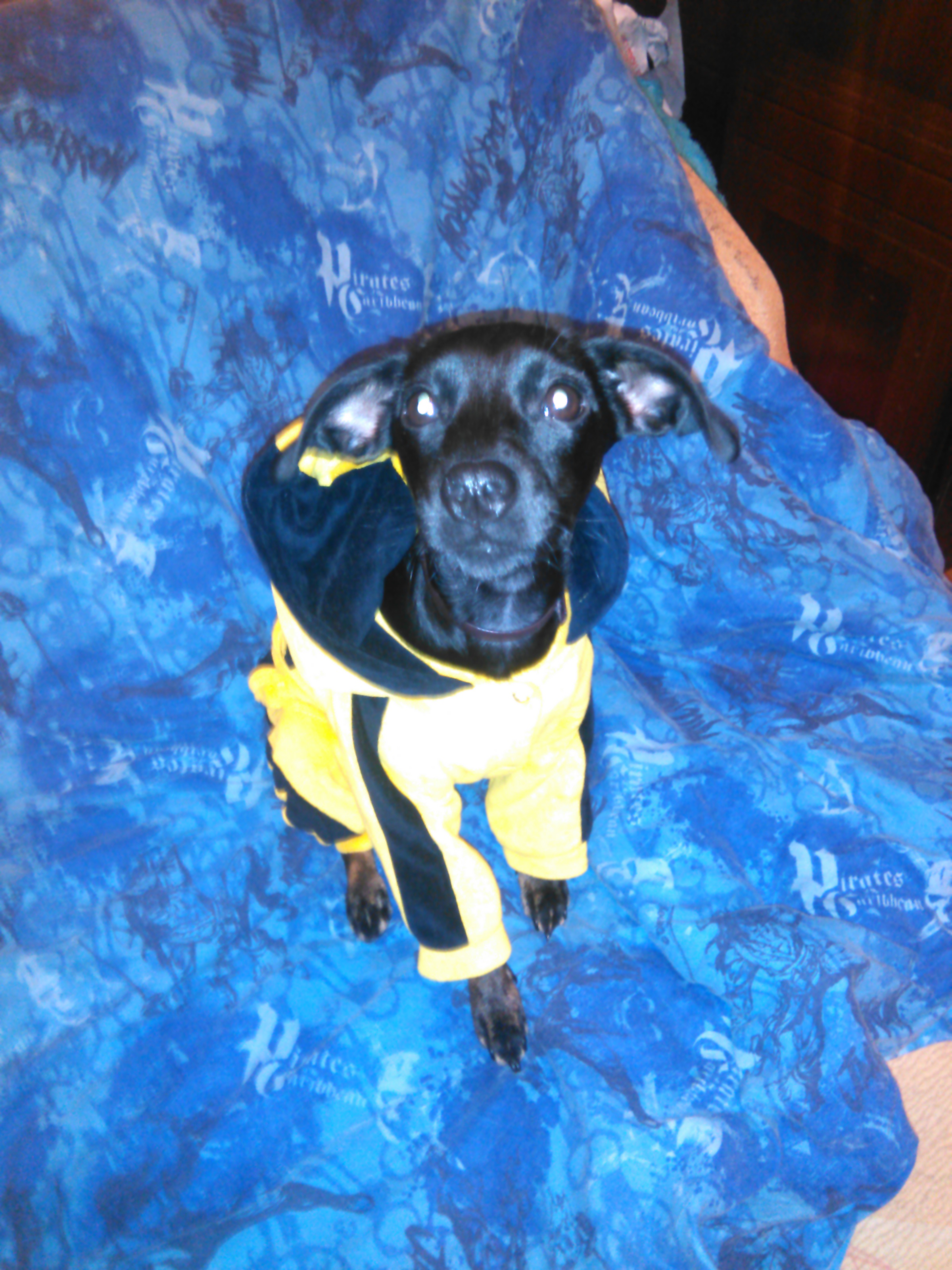 attachment.php?attachmentid=474762&stc=1&d=1448573713