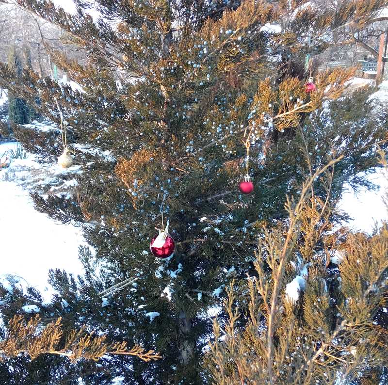 attachment.php?attachmentid=481814&stc=1&d=1451576333