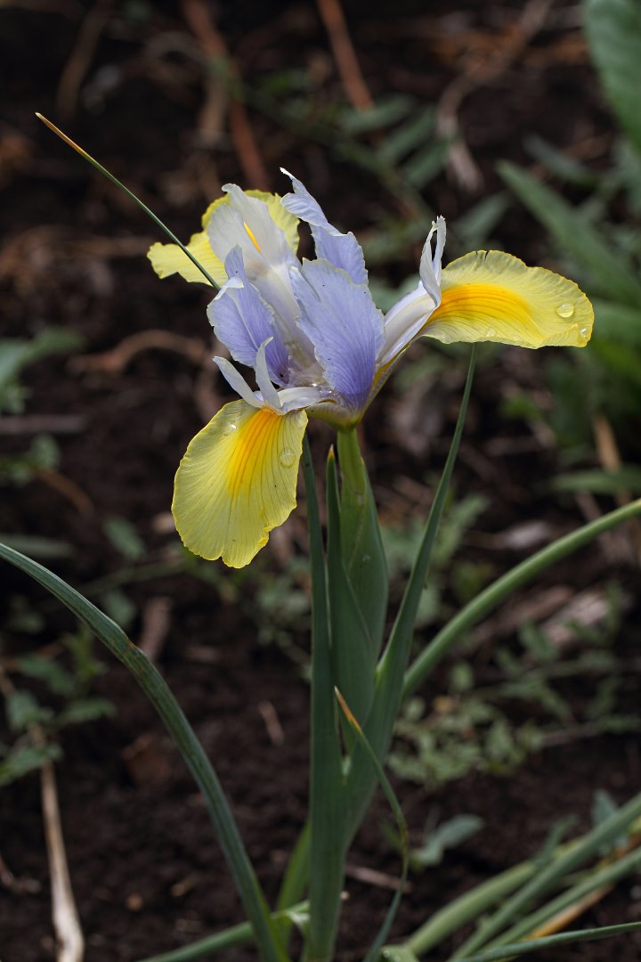 attachment.php?attachmentid=481826&stc=1&d=1451578309