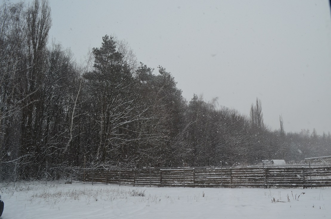 attachment.php?attachmentid=483562&stc=1&d=1452665505