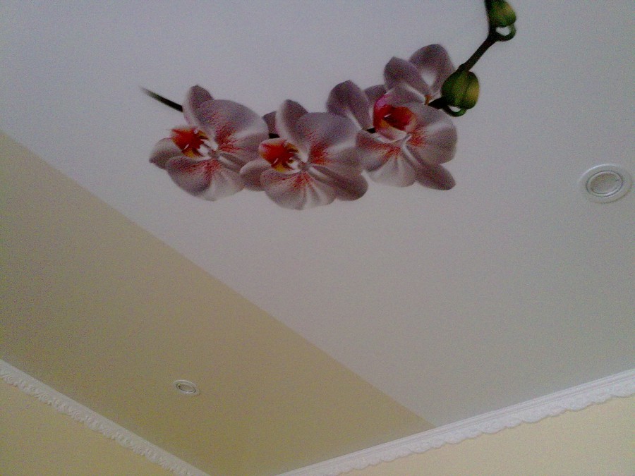 attachment.php?attachmentid=487238&d=1454163061