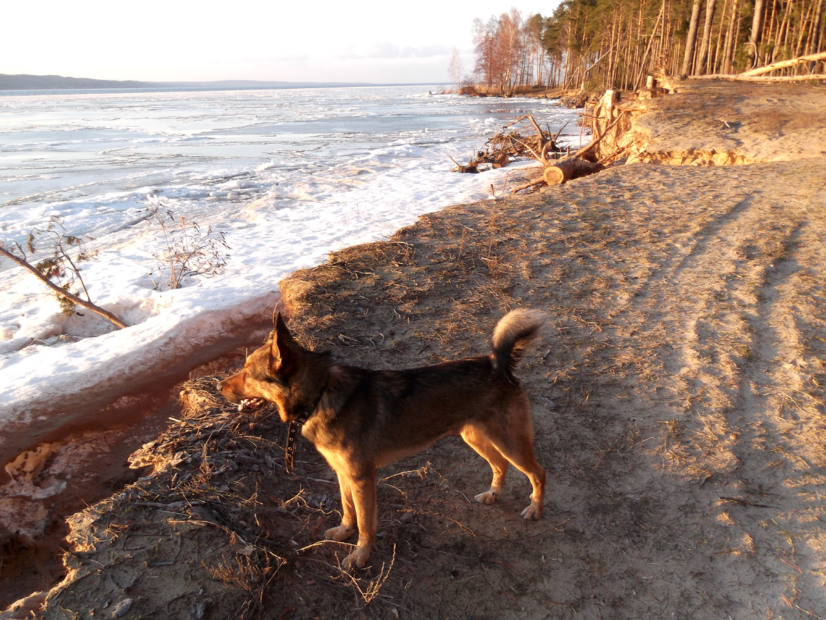 attachment.php?attachmentid=492538&stc=1&d=1456607367