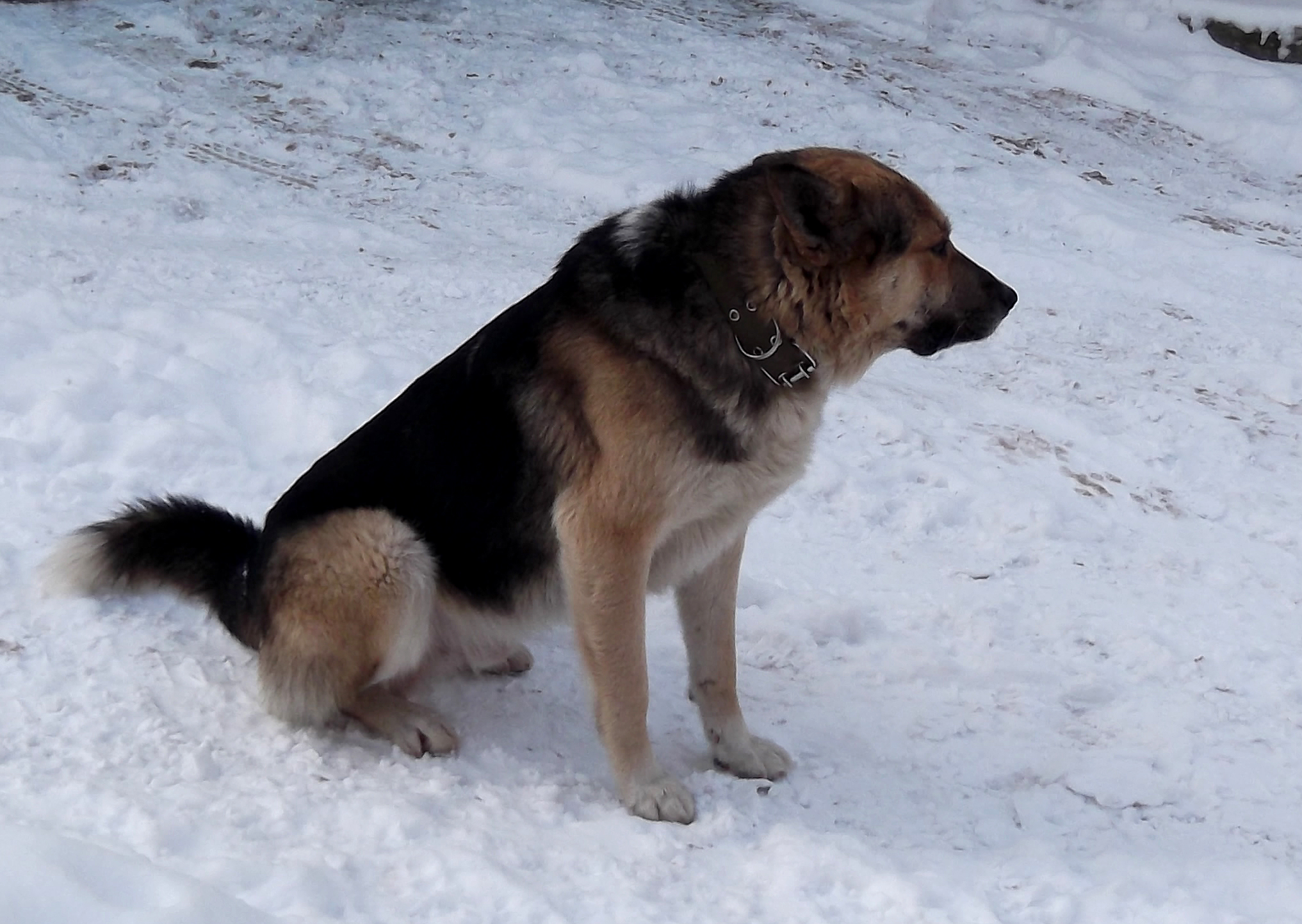 attachment.php?attachmentid=492560&stc=1&d=1456609085