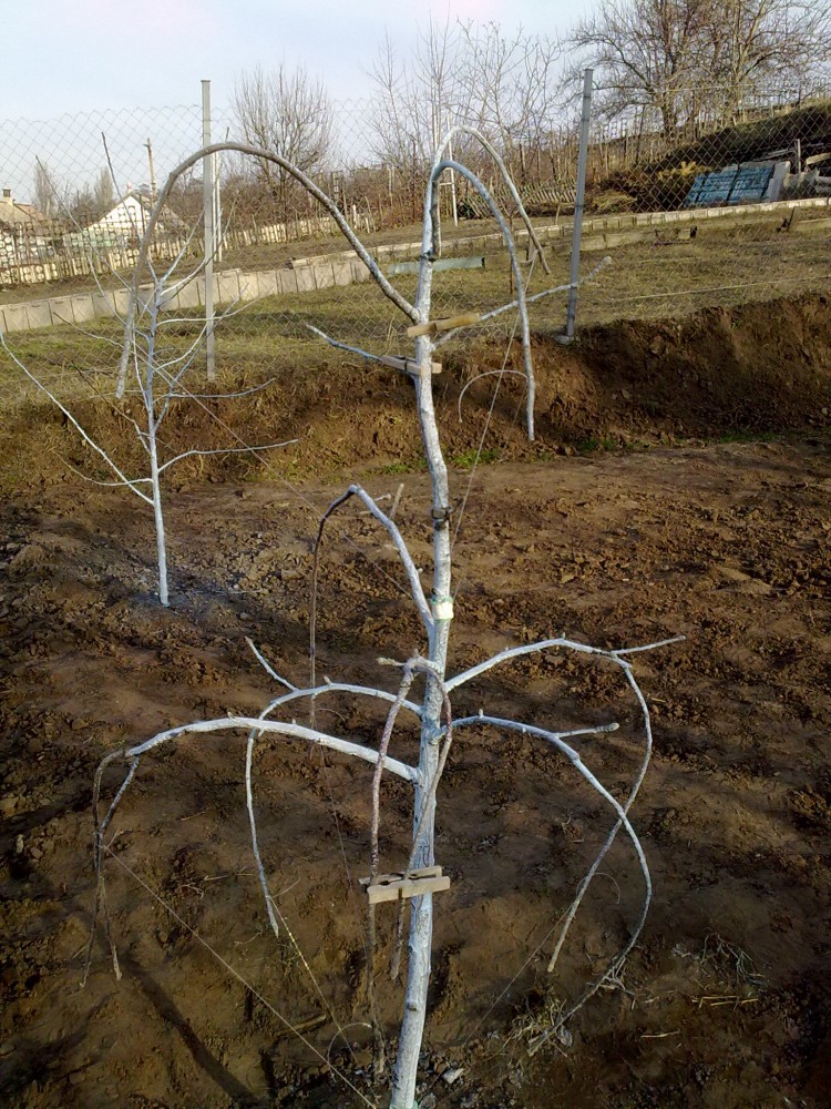 attachment.php?attachmentid=493373&stc=1&d=1456949817