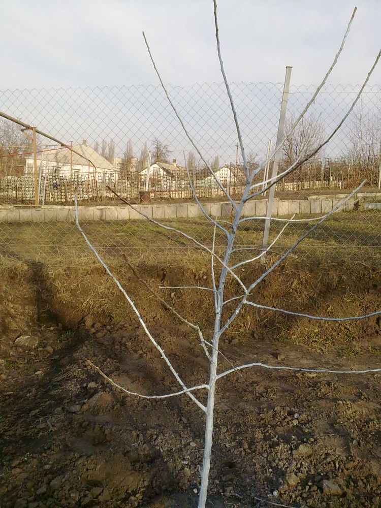 attachment.php?attachmentid=493376&stc=1&d=1456950049