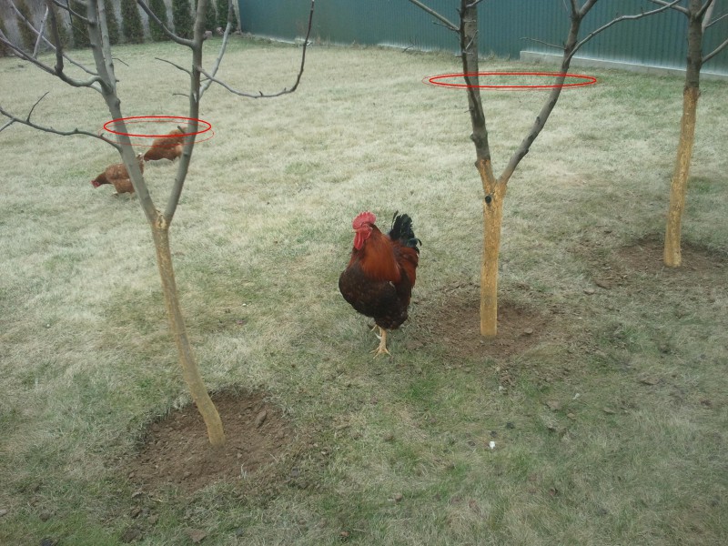 attachment.php?attachmentid=494741&stc=1&d=1457713544