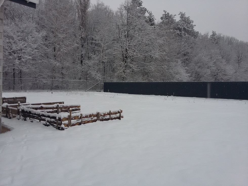 attachment.php?attachmentid=496488&stc=1&d=1458540906