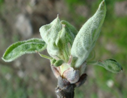 attachment.php?attachmentid=497742&stc=1&d=1459069209