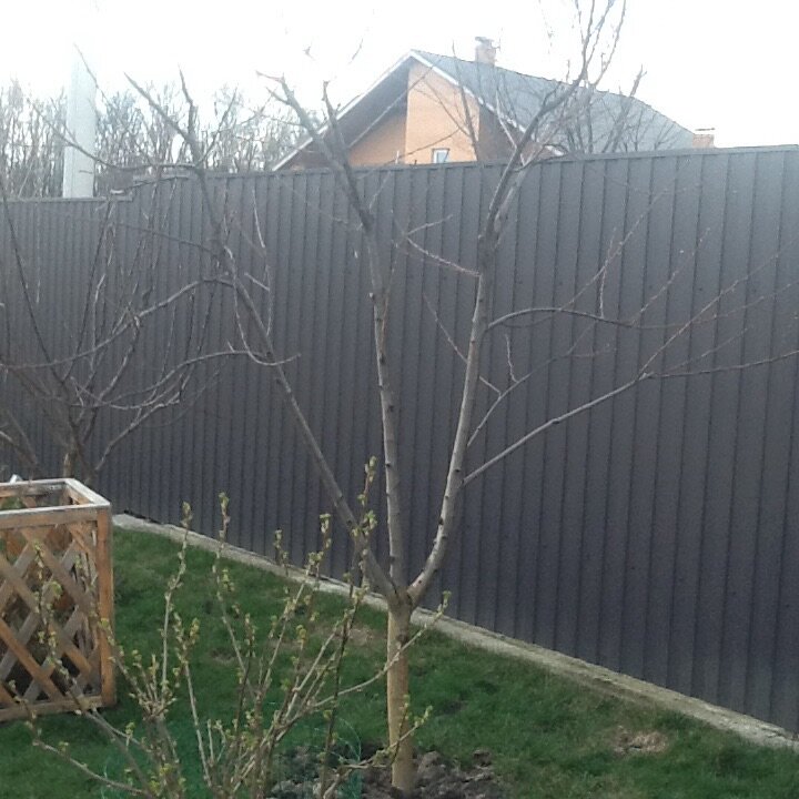 attachment.php?attachmentid=498496&stc=1&d=1459348979