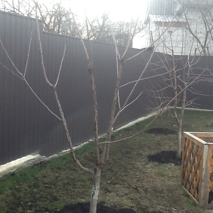 attachment.php?attachmentid=498506&stc=1&d=1459351807