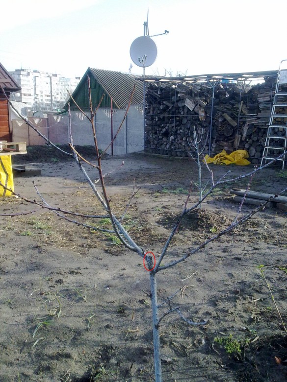 attachment.php?attachmentid=498592&stc=1&d=1459403557