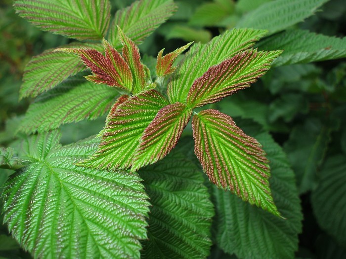 attachment.php?attachmentid=500465&stc=1&d=1460224821