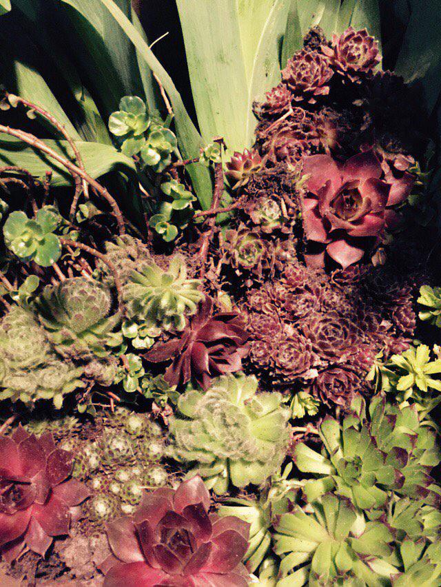 attachment.php?attachmentid=501212&stc=1&d=1460488912