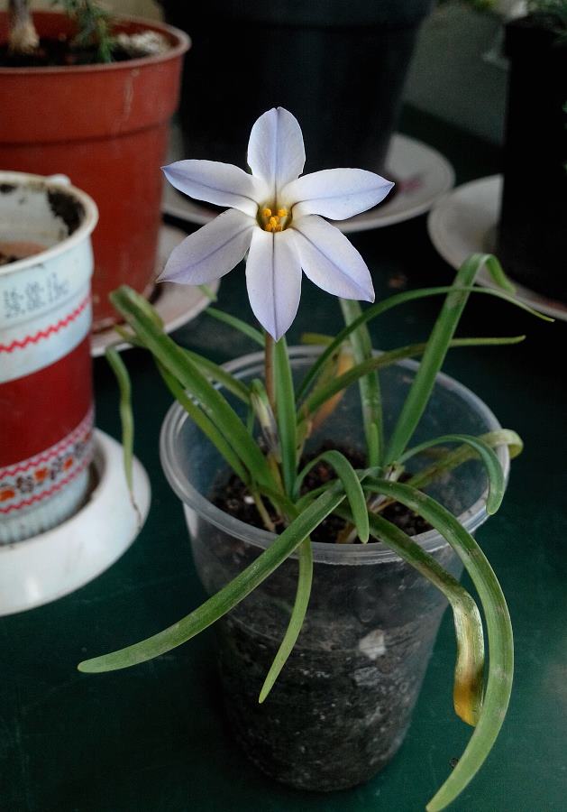 attachment.php?attachmentid=502263&stc=1&d=1460984987