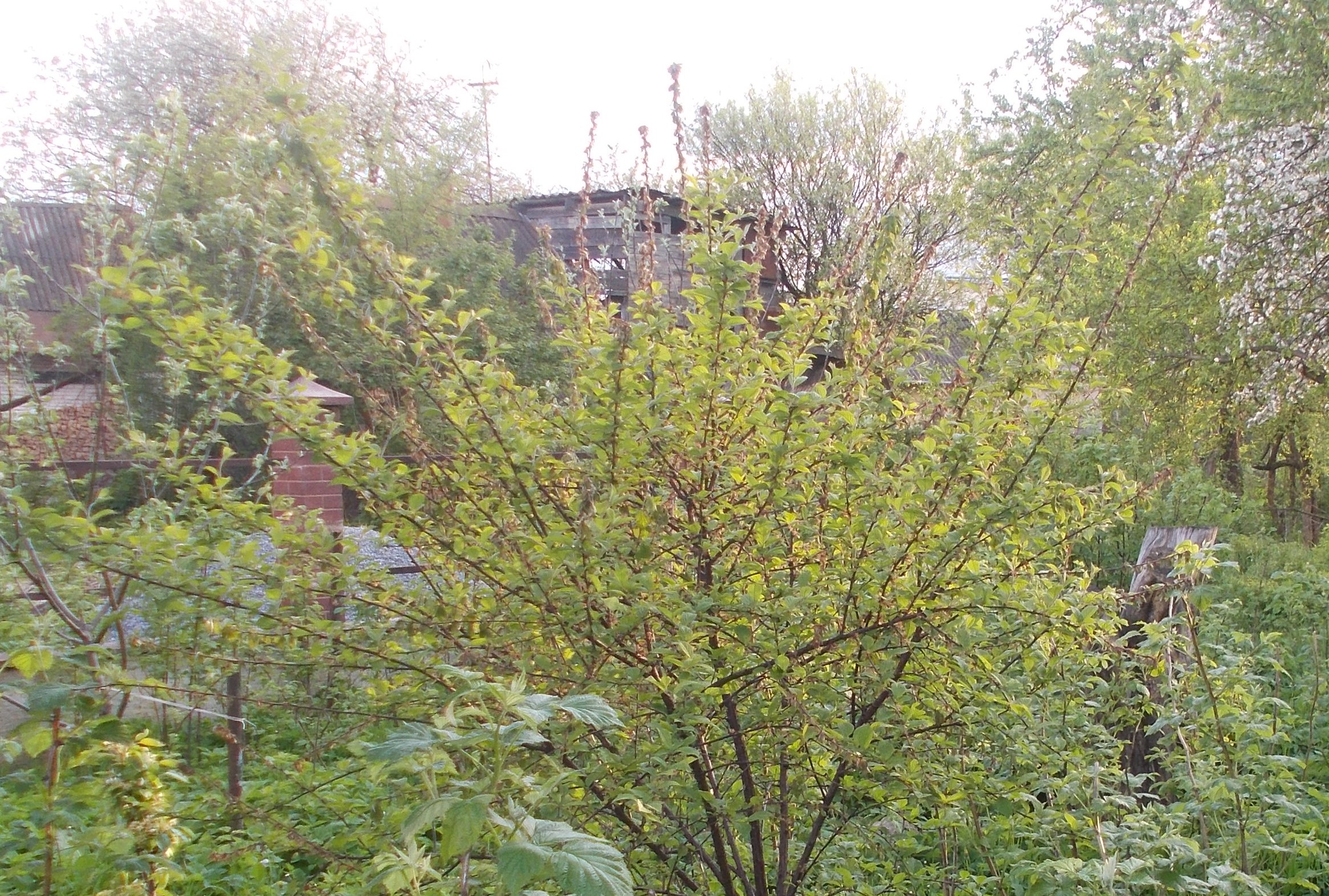 attachment.php?attachmentid=506013&stc=1&d=1462870993