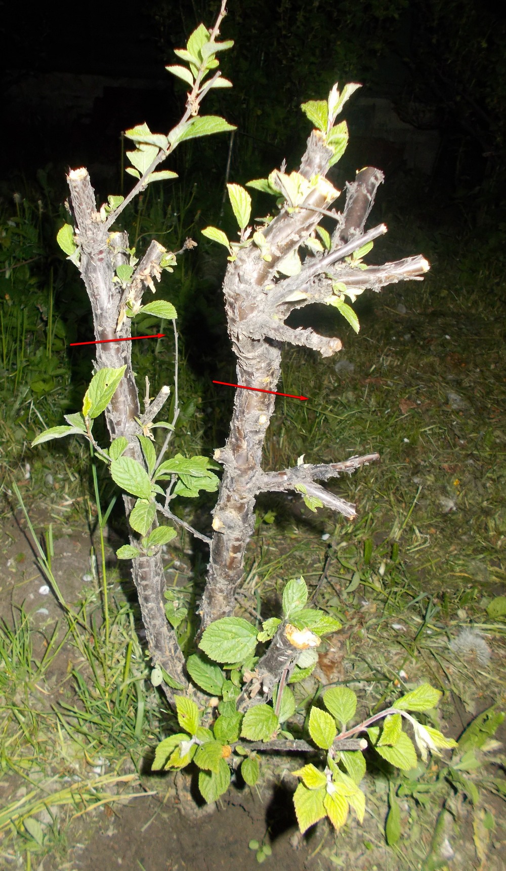 attachment.php?attachmentid=506183&stc=1&d=1462960116