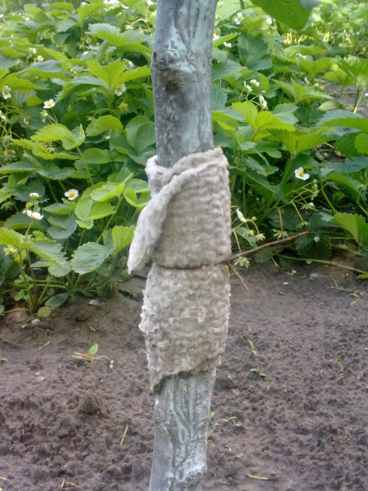 attachment.php?attachmentid=506455&stc=1&d=1463078119