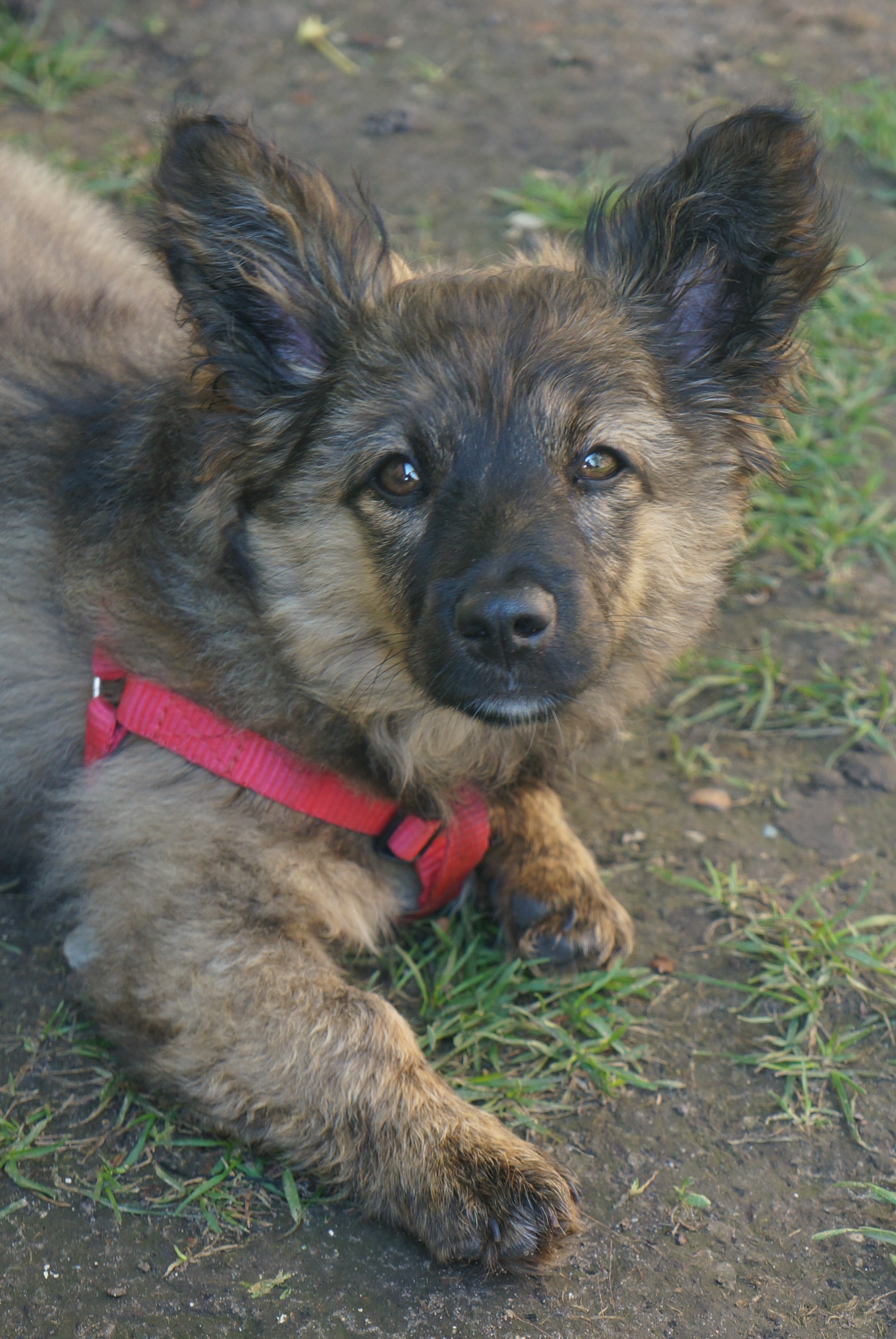 attachment.php?attachmentid=506703&stc=1&d=1463238793