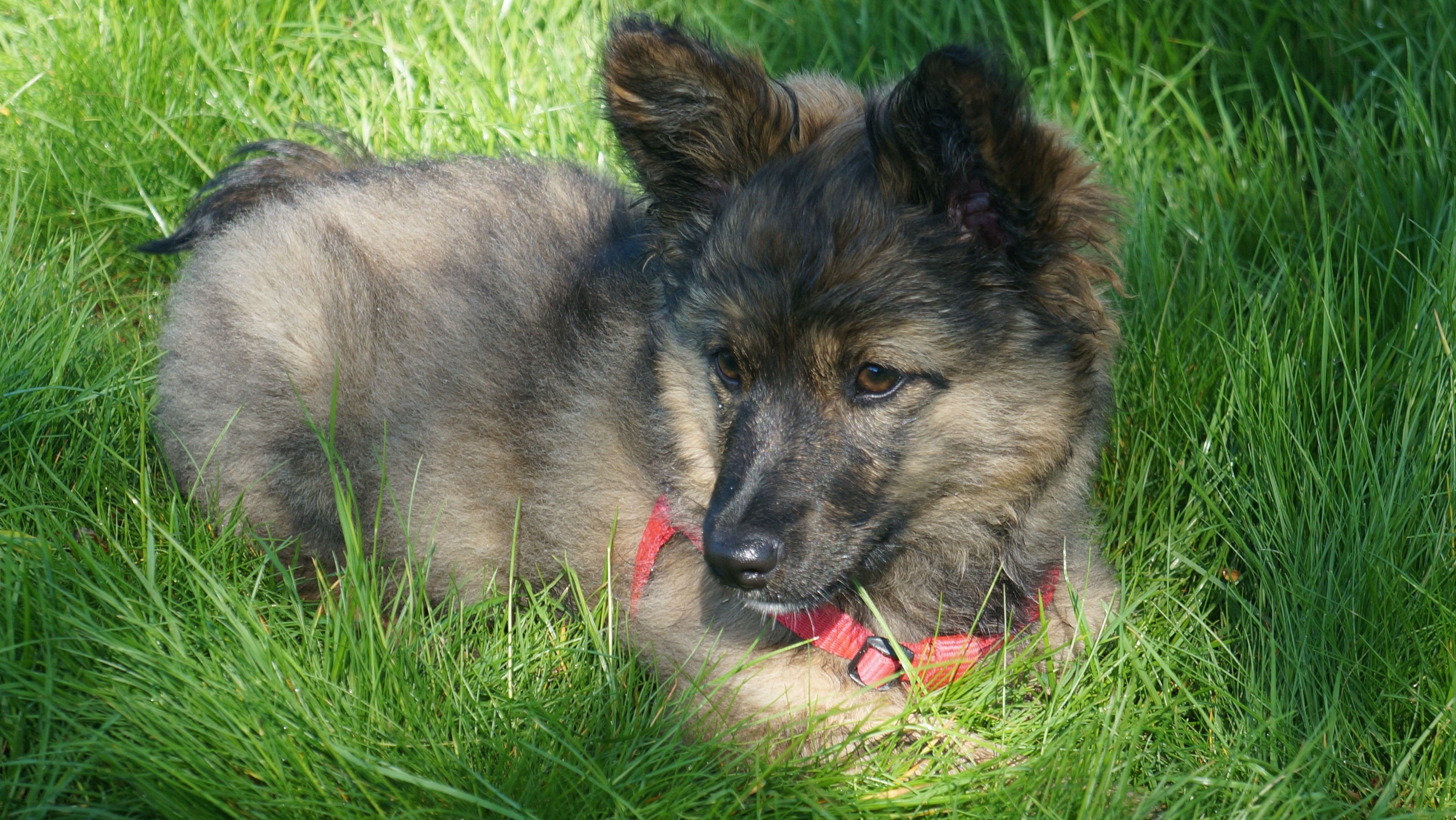 attachment.php?attachmentid=506704&stc=1&d=1463238808