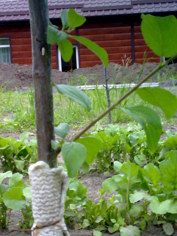 attachment.php?attachmentid=507208&stc=1&d=1463463278